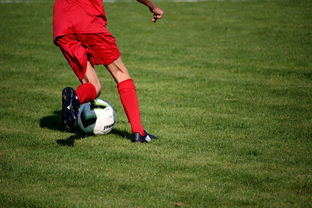 kaiyun开云入口平台-意甲裁判语义辅助判罚系统提升比赛公平性研究，意甲裁判组