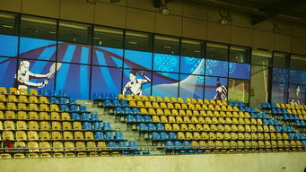 开云体育俱乐部官网-高校体育赛事安全管理体系构建，学校体育赛事体系